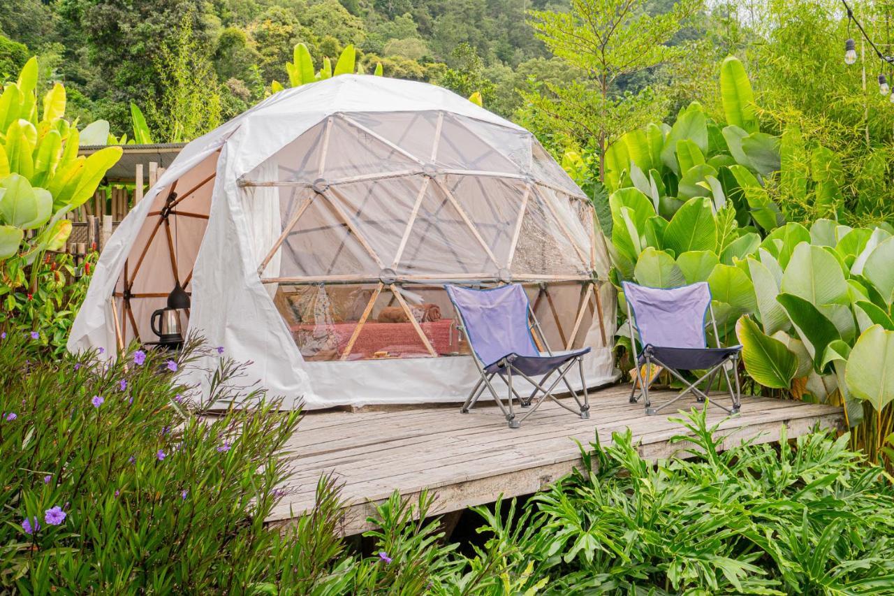 Cloud Hills Glamping Luxury tent *
