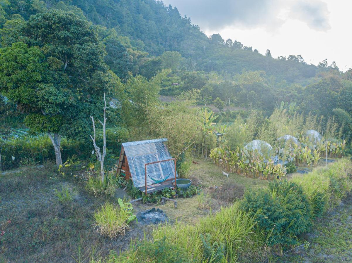 Cloud Hills Glamping * Kintamani (Bali)